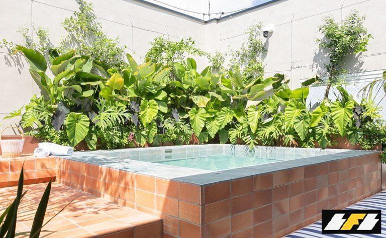 como-cuidar-das-plantas-no-calor-00