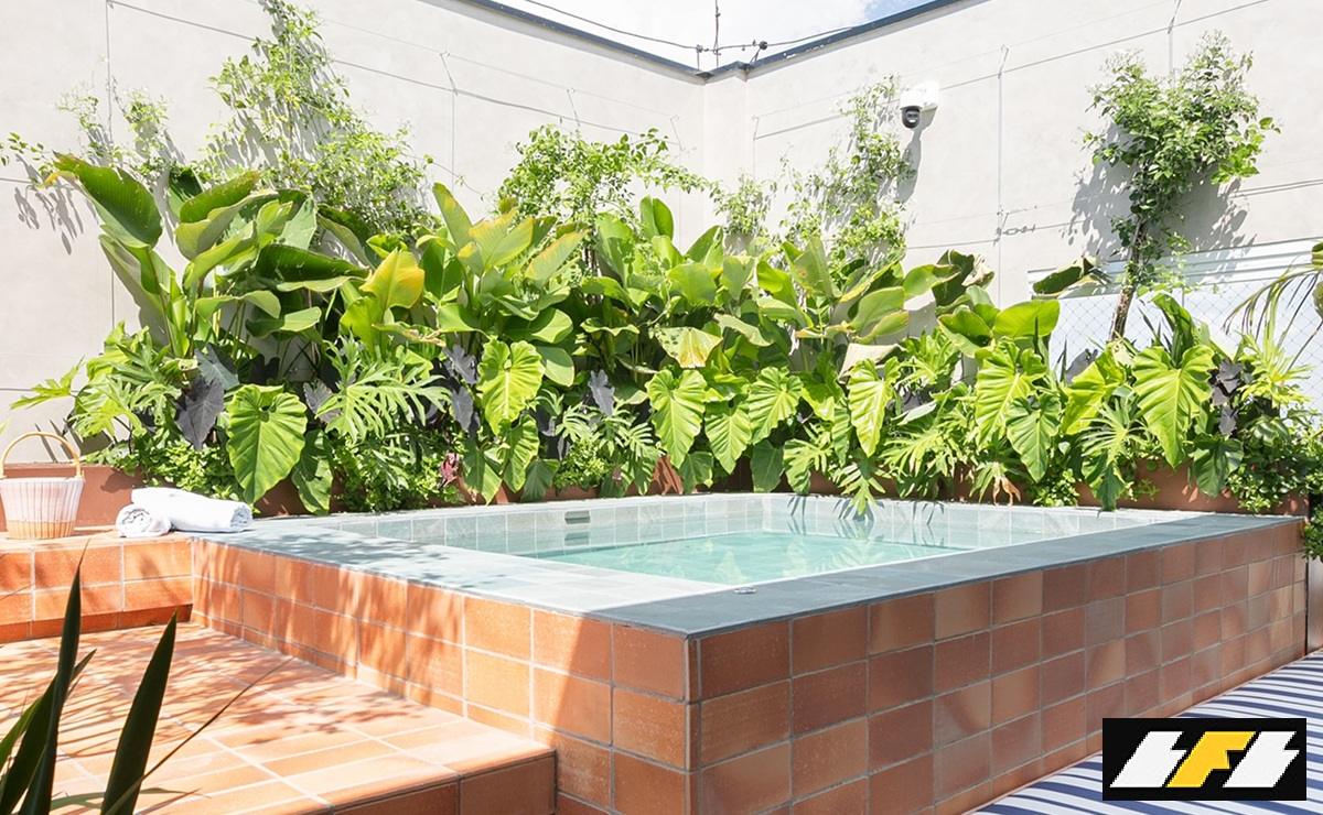 como-cuidar-das-plantas-no-calor-00